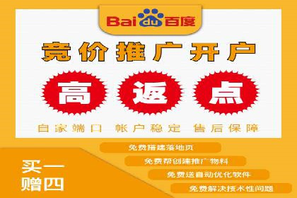 搜索引擎营销（SEM）竞价策略案例
